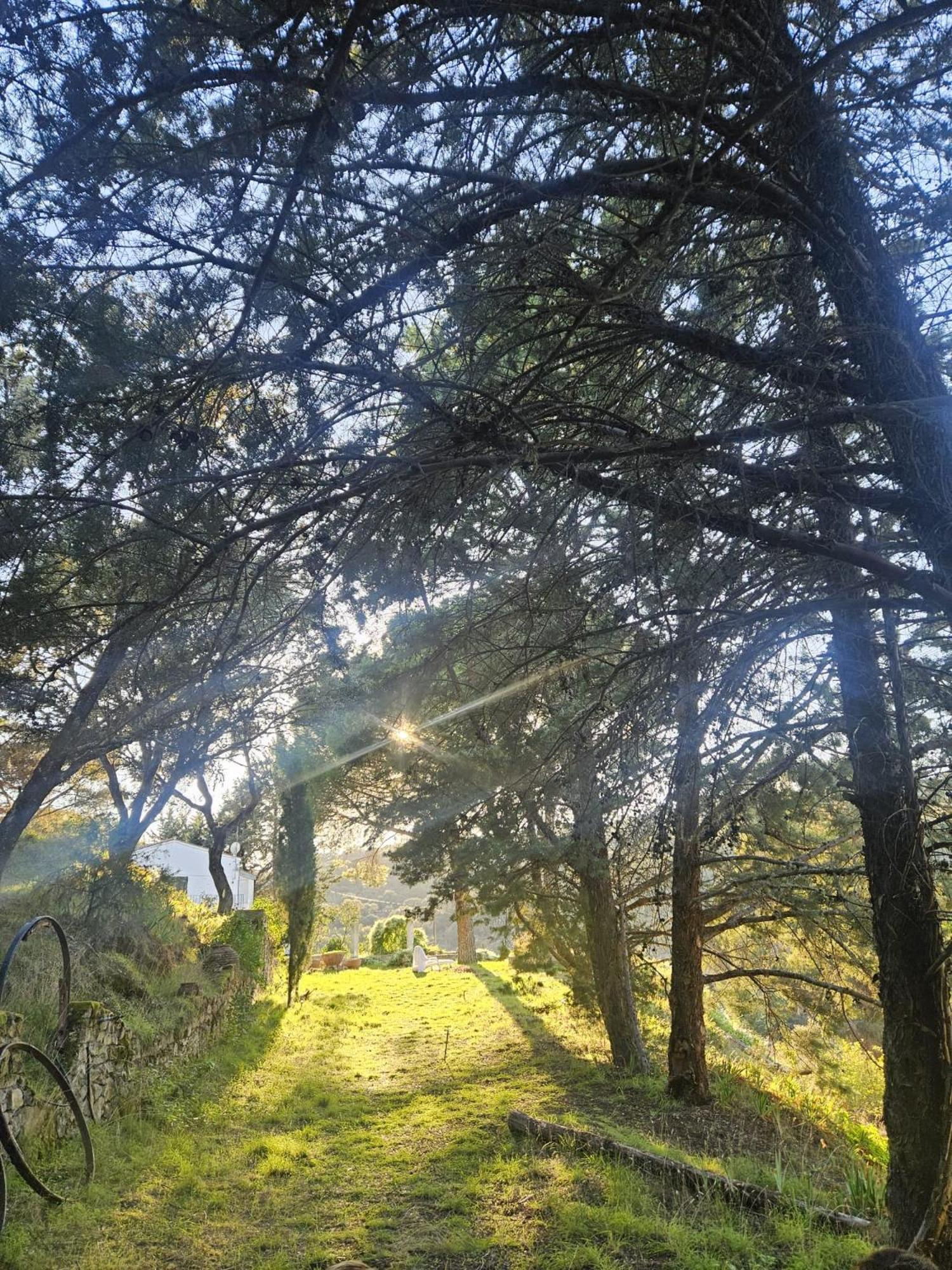 Casa Rural Camino De Hierro I Y II La Fregeneda Exteriér fotografie