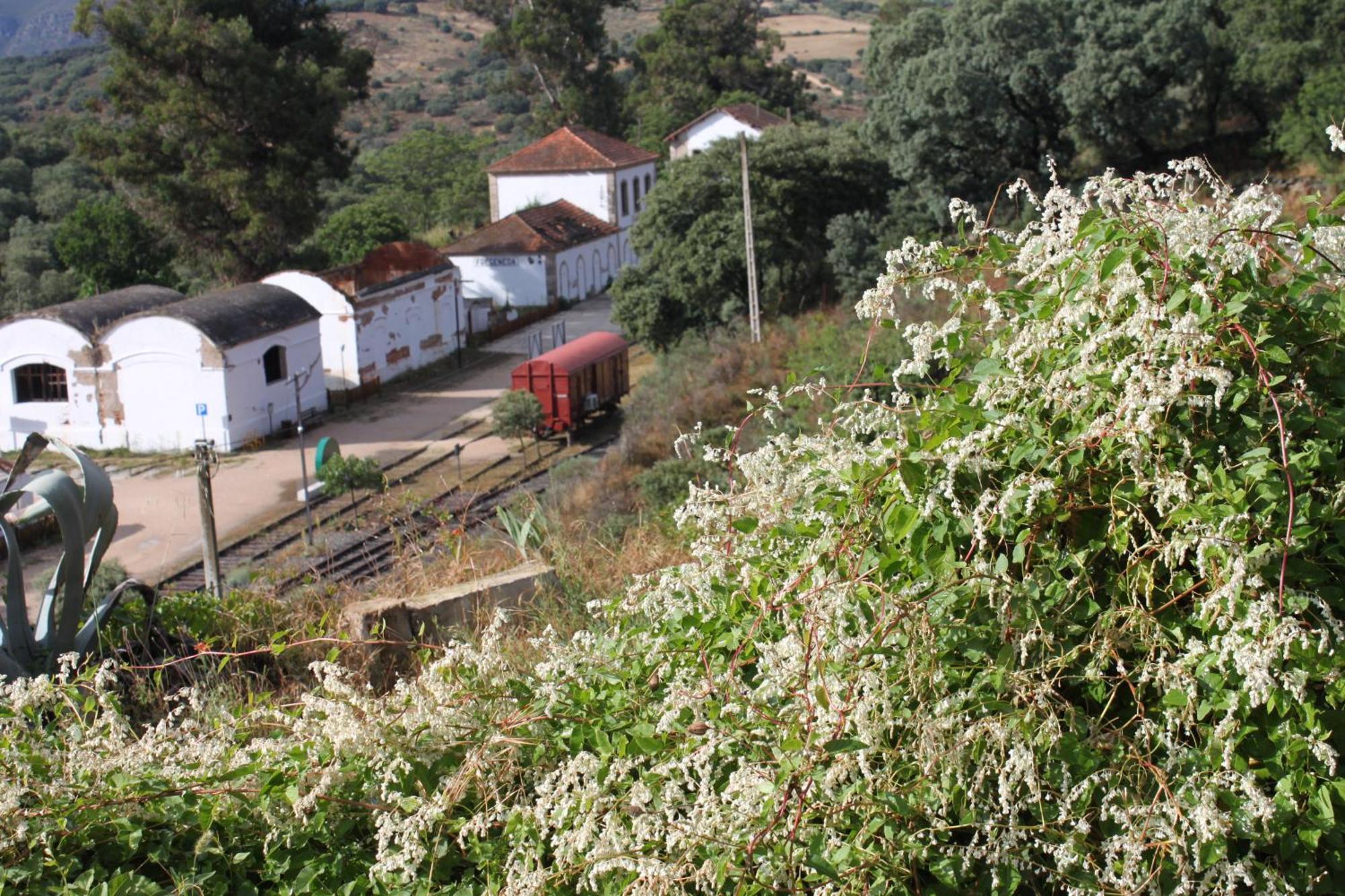 Casa Rural Camino De Hierro I Y II La Fregeneda Exteriér fotografie